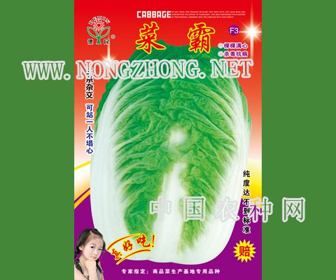 菜霸